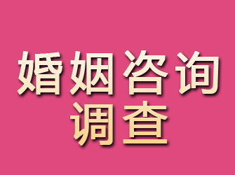 瑞安婚姻咨询调查